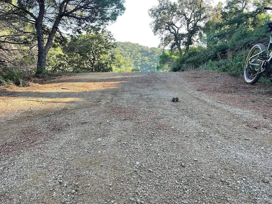 Grande Villa De 130 M2 Avec Spa Et Amarrage Prive 14X8M Grimaud France